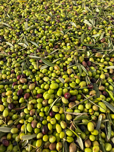 Ad Olivetum IGP Olympie BIO