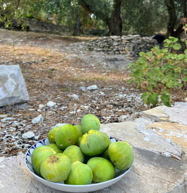 Private Olive Oil Tasting at home (Paxos island Greece)