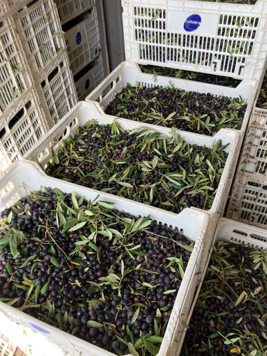 L'Olivera Oli de Finques BIO 500ml
