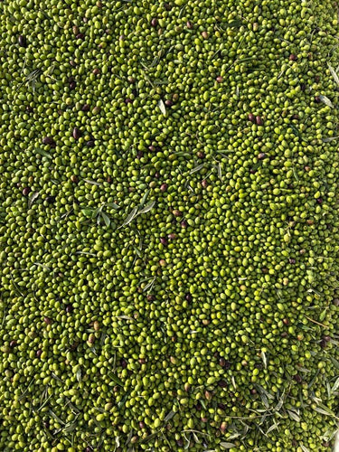 Ad Olivetum IGP Olympie BIO - Ad Olivetum
