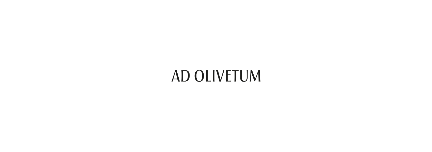 slideshow background