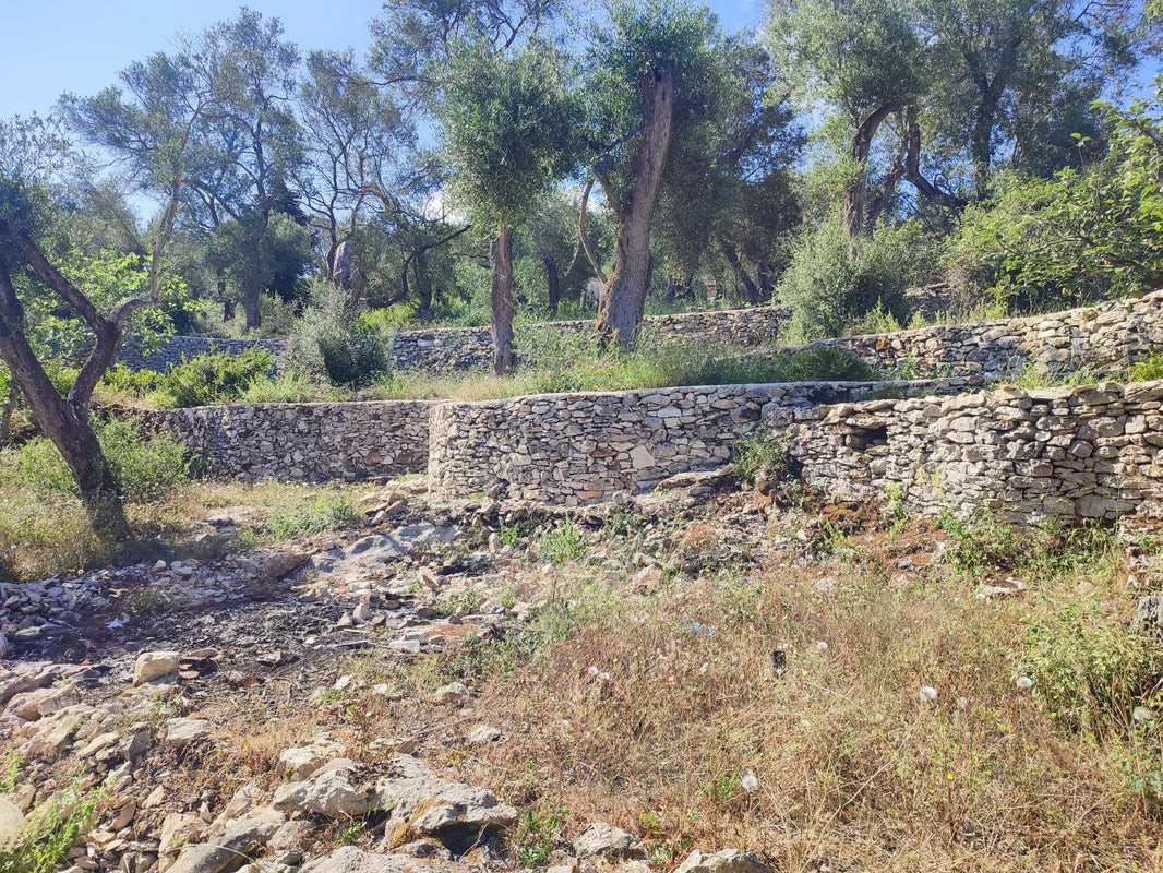 BRUNCH + Dégustation privée d'huile d'olive à domicile – île de Paxos, Grèce - Ad Olivetum