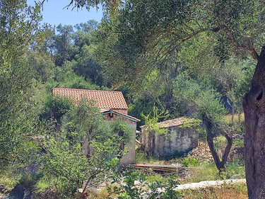 BRUNCH + Dégustation privée d'huile d'olive à domicile – île de Paxos, Grèce - Ad Olivetum