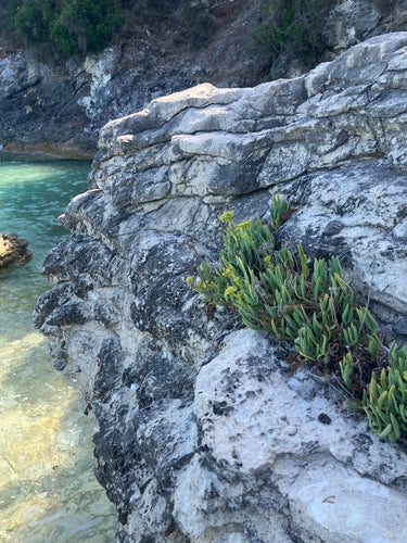Paysage côtier rocheux de Grèce, habitat naturel de la criste marine sauvage