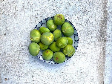 Dégustation d'huiles d'olive espagnoles - Ad Olivetum