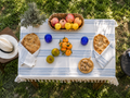 Dégustation privée d'huile d'olive à domicile – île de Paxos, Grèce - Ad Olivetum