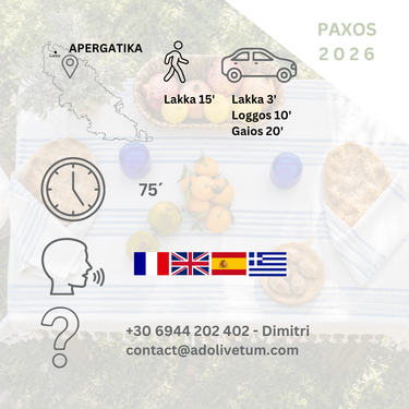 Dégustation d'huile d'olive à l'ombre des oliviers (île de Paxos, Grèce)