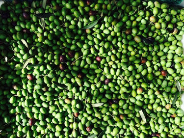 Mas Auró Koroneiki Bio 500 ml - Ad Olivetum