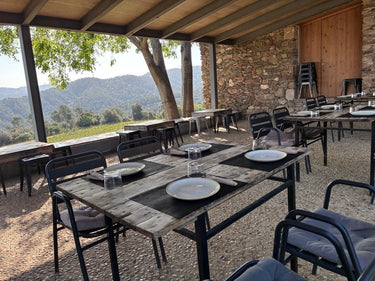 TAPAS + Dégustation d'huiles d'olive (CAN CALOPA) - Ad Olivetum