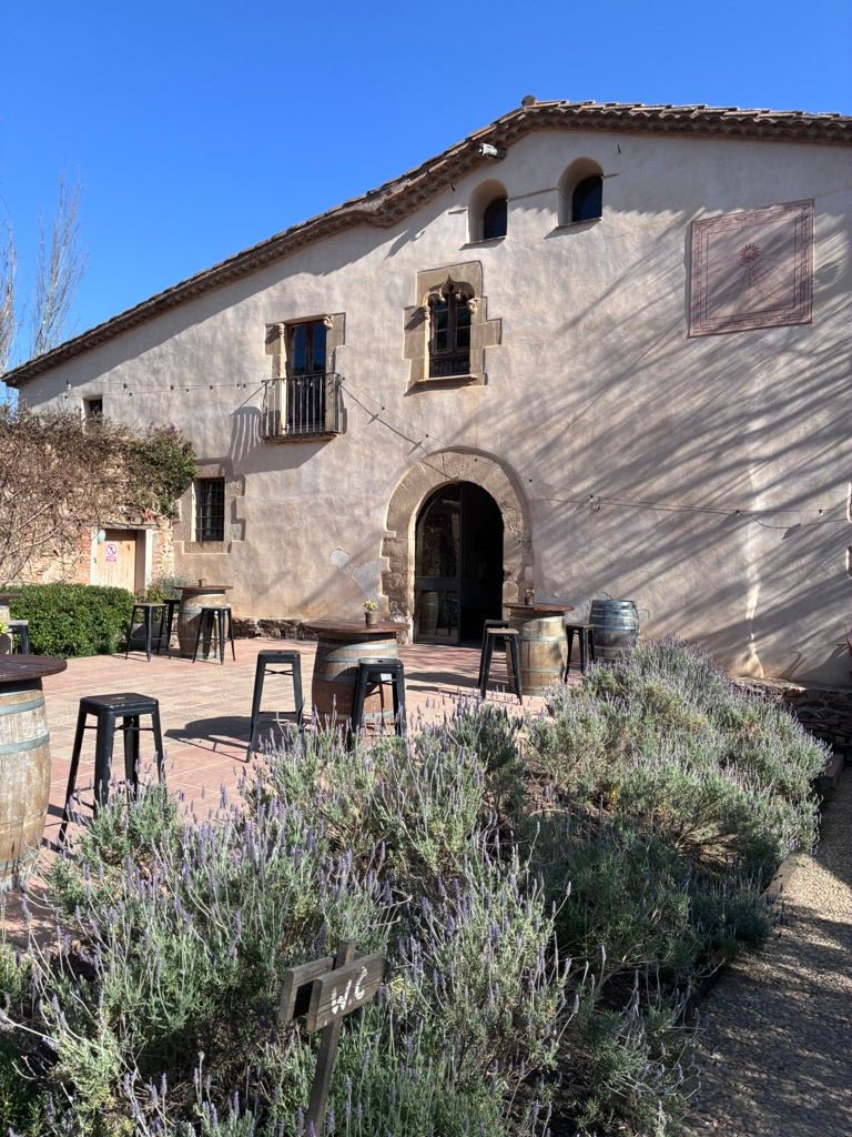 TAPAS + Dégustation d'huiles d'olive (CAN CALOPA) - Ad Olivetum