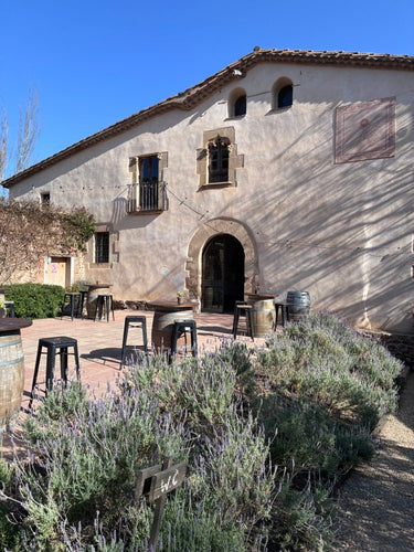TAPAS + Dégustation d'huiles d'olive (CAN CALOPA) - Ad Olivetum